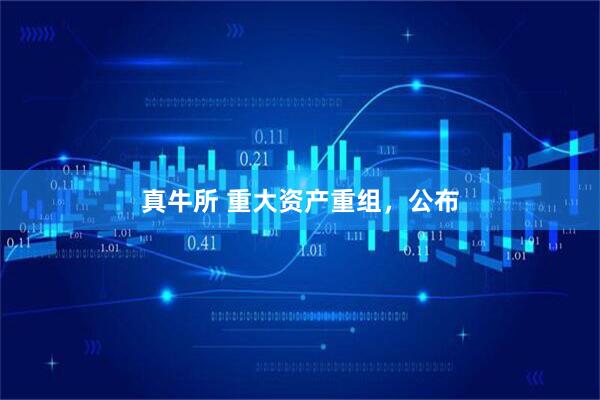 真牛所 重大资产重组，公布