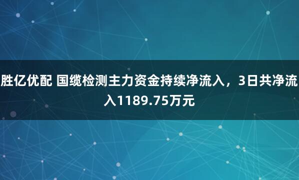 胜亿优配 国缆检测主力资金持续净流入，3日共净流入1189.75万元