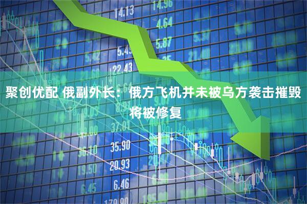 聚创优配 俄副外长：俄方飞机并未被乌方袭击摧毁 将被修复