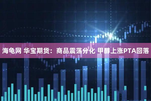 海龟网 华宝期货：商品震荡分化 甲醇上涨PTA回落