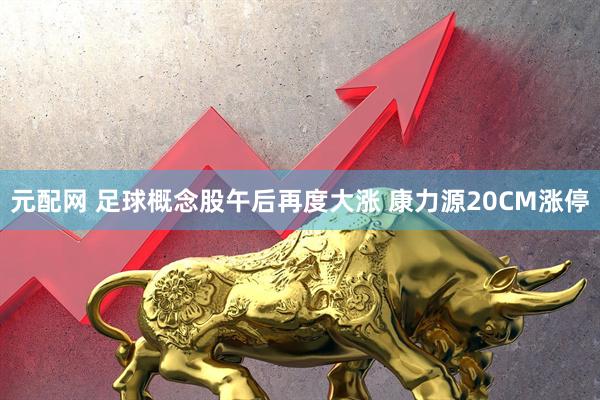 元配网 足球概念股午后再度大涨 康力源20CM涨停
