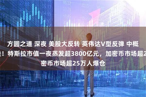 方圆之道 深夜 美股大反转 英伟达V型反弹 中概股多数下挫！特斯拉市值一夜蒸发超3800亿元，加密币市场超25万人爆仓